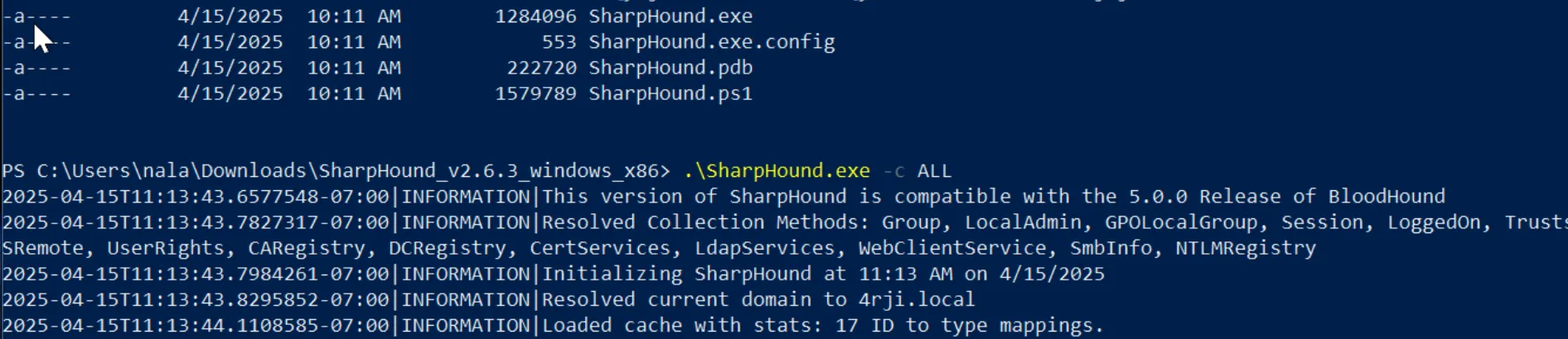 Running Windows Executable